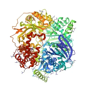 Anti-PITRM1 Monoclonal Antibody for WB, IHC-P, IF/ICC, ELISA - Q5JRX3
