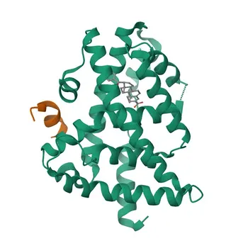 Anticorpo Monoclonal de Coelho Anti-FXR/NR1H4 para WB, IHC-P, ELISA - Q96RI1