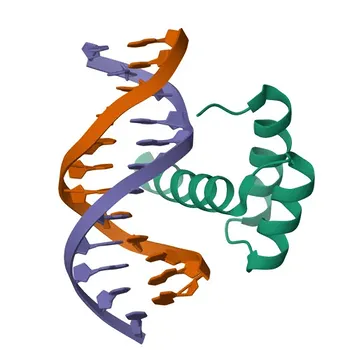 Anticorpo Monoclonal Anti-Nanog para WB, IF-P, ELISA - Q9H9S0