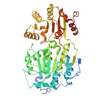 Anticorpo Monoclonal de Coelho Anti-DDX3X/DDX3Y para WB, IHC-P, IF/ICC, IP, ELISA - O00571/O15523