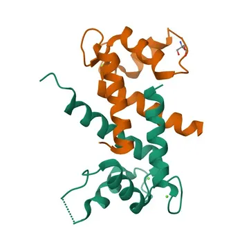 Anticorpo monoclonal de coelho Anti-S100/S100A1 para WB, IHC-P, IF/ICC, ELISA - P23297
