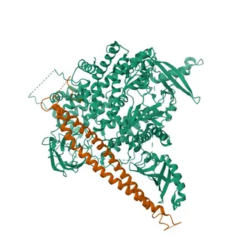 Anticuerpo monoclonal de conejo anti-PI3 Kinasa p110 alfa para WB, IP, ELISA - P42336