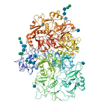 Anticorpo Monoclonale Coniglio Anti-PLA2R1 per WB e ELISA - Q13018