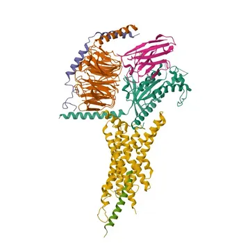 Anticorpo Monoclonal Anti-Glucagon para IF-P, IHC-P, ELISA - P01275