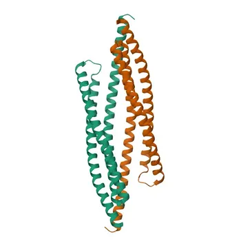 Anticuerpo Monoclonal de Conejo Smac/Diablo para WB, IF/ICC, ELISA - Q9NR28