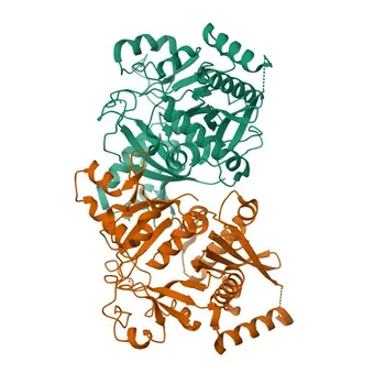 Anticorpo monoclonale coniglio ATE1 per WB, IHC-P, ELISA - O95260