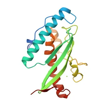 Anti-UFC1 Rabbit Monoclonal Antibody for WB, ELISA - Q9Y3C8
