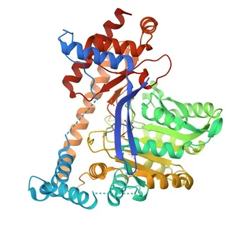 Anticorpo monoclonale di topo anti-GPT2 per WB - Q8TD30