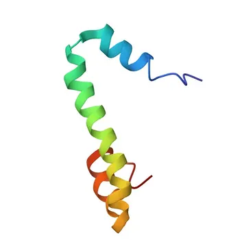 Anticorpo Monoclonal de Coelho Anti-Nogo (RTN4) para WB, IF/ICC, ELISA - Q9NQC3