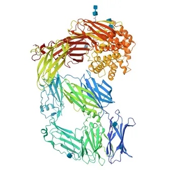 Anticorpo Monoclonal Anti-CD109 para WB, ELISA - Q6YHK3