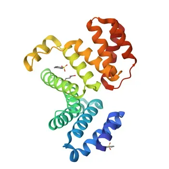 Anticorpo monoclonale Anti-PTPIP51/RMDN3 per WB, ELISA - Q96TC7