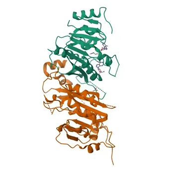 Anti-METTL14 Monoclonal Antibody (KD Validated) for WB, IHC-P, IP, ELISA - Q9HCE5