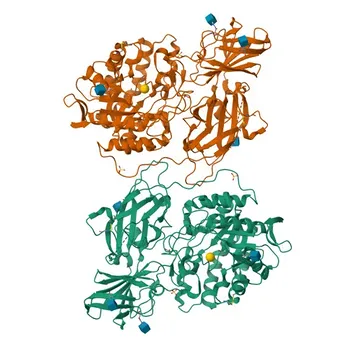 Anticorpo Monoclonal de Coelho Anti-Beta-galactosidase (GLB1) para WB, IHC-P, ELISA - P16278