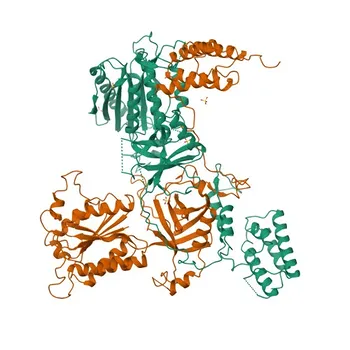 Anticuerpo monoclonal de conejo anti-ASUN/INTS13 para WB y ELISA - Q9NVM9