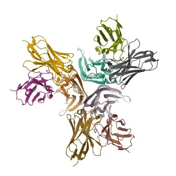 Anticorpo monoclonale anti-TNF-α per IHC-P, ELISA - P01375