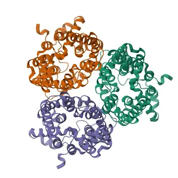 Anti-SLC14A1 Rabbit Monoclonal Antibody for WB, IHC-P, IF/ICC, ELISA - Q13336