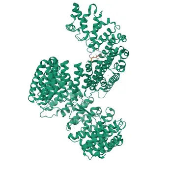 Anticorpo Monoclonal Anti-Carioferina β3 (IPO5) para WB, ELISA - O00410
