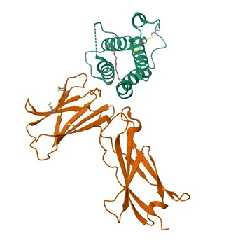 Anticorpo monoclonal de coelho anti-IL7 para WB, ELISA - P13232