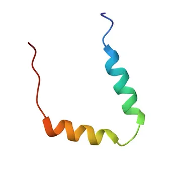 Anticorpo monoclonale di coniglio anti-CDKN2A/p19ARF per WB, ELISA - Q64364