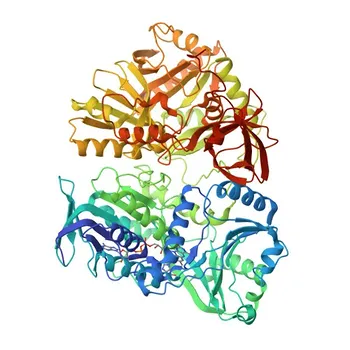 DMGDH Rabbit mAb لـ WB, IF-P, ELISA - Q9UI17