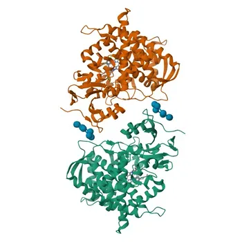 Anticorpo Monoclonal de Coelho Anti-CYP51A1 para WB, IHC-P, ELISA - Q16850