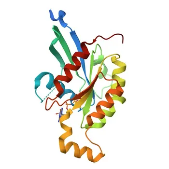 Anti-RhoB Rabbit Monoclonal Antibody for WB and ELISA - P62745