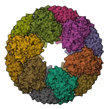NLRP3 mAb de conejo - Q8R4B8