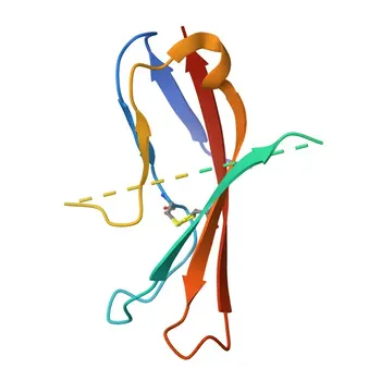Anticorpo Monoclonal de Coelho Anti-CD83 para WB, ELISA - Q01151