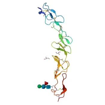 Anti-CD137 Rabbit Monoclonal Antibody for WB, IF/ICC, ELISA - P20334
