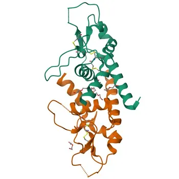 Anticorpo Monoclonale Coniglio Anti-CD82 per WB, IF/ICC, IF-P, IHC-P, ELISA - P27701
