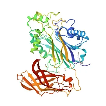 Anticuerpo monoclonal de conejo anti-SHIP1 para WB, IF-P, IHC-P, ELISA - Q92835