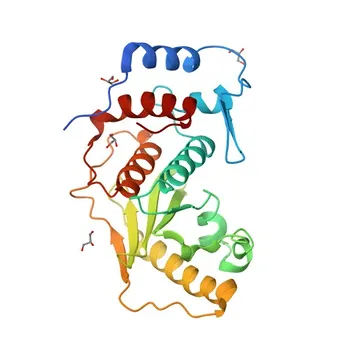 Anticorpo Monoclonal de Coelho Anti-SENP1 para WB, ELISA - Q9P0U3