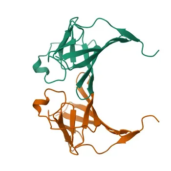 Anticorpo Monoclonal de Coelho Anti-TCL1 para WB, IF/ICC, ELISA - P56279