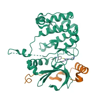 Anti-Aurora B Monoclonal Antibody for WB, IHC-P, IF/ICC, ELISA - Q96GD4