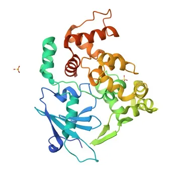 Anti-OGG1 Rabbit Monoclonal Antibody for WB, IHC-P, ELISA - O15527