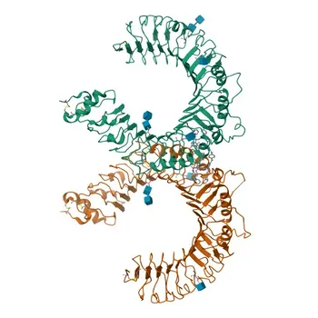 PE Kaninchen anti-Human CD282/TLR2 monoklonaler Antikörper für Durchflusszytometrie - O60603