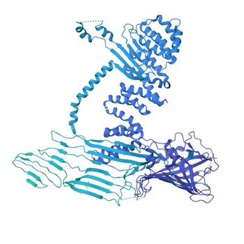 Anticorpo Monoclonal Anti-Apolipoproteína B (ApoB) para WB e ELISA - P04114