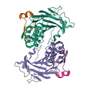 Кроличья поликлональная антитело против фосфо-Smad3-T179 для WB, IHC-P, ELISA — P84022
