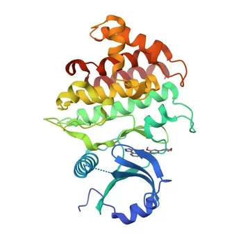 Anti-IRAK1 Rabbit Monoclonal Antibody for WB, ELISA - P51617