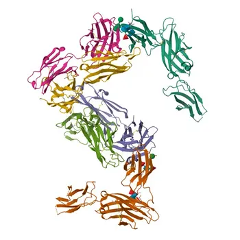 Anticorpo Monoclonal de Coelho anti-Humano CD123 conjugado com APC para Citometria de Fluxo - P26951