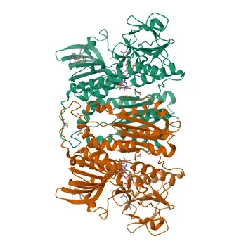 Anti-GSR Rabbit Monoclonal Antibody for WB, ELISA - P00390