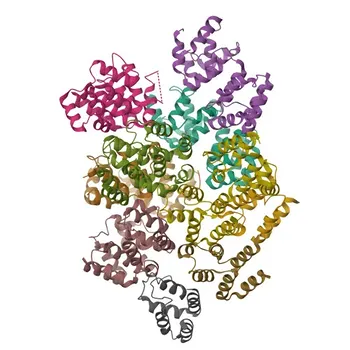 Phospho-FADD-S194 Kaninchen pAb für WB, ELISA - Q13158