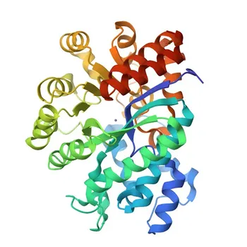 Anticorpo Monoclonal de Coelho Anti-Adenosina Desaminase (ADA) para WB, ELISA - P00813