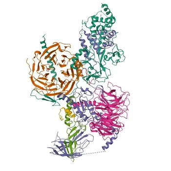 Anticorpo Monoclonal Coelho Anti-JARID2 para WB, ELISA - Q92833