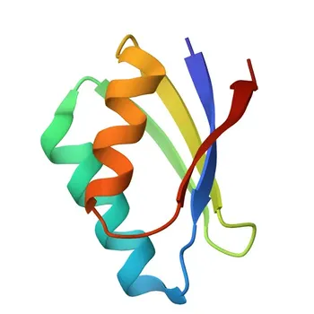 Anti-ATP7A Rabbit Monoclonal Antibody for WB, IF/ICC, ELISA - Q04656