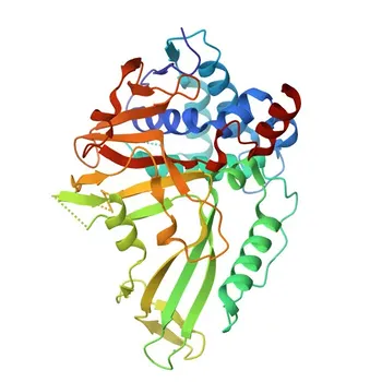Anticorpo monoclonale anti-USP15 per WB, IP, ELISA - Q9Y4E8