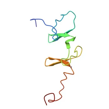 Anticorpo Monoclonal Anti-FHL5 para WB, IF/ICC, IP, ELISA - Q5TD97
