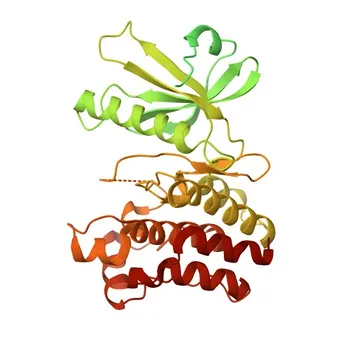 Phospho-MLKL-S358 Rabbit pAb - Q8NB16