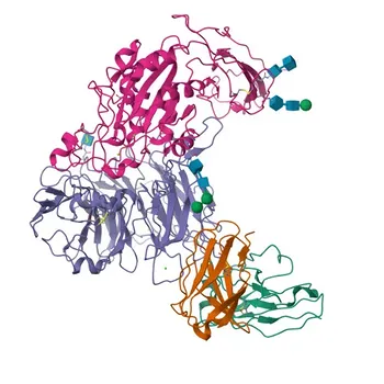 PE Rabbit anti-Human CD61 Monoclonal Antibody for FC - P05106