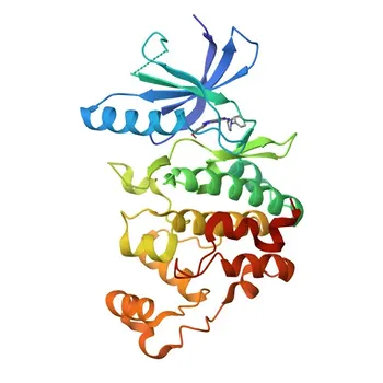 Anticorpo Policlonal de Coelho Phospho-ERK3-S189 para WB, ELISA - Q16659